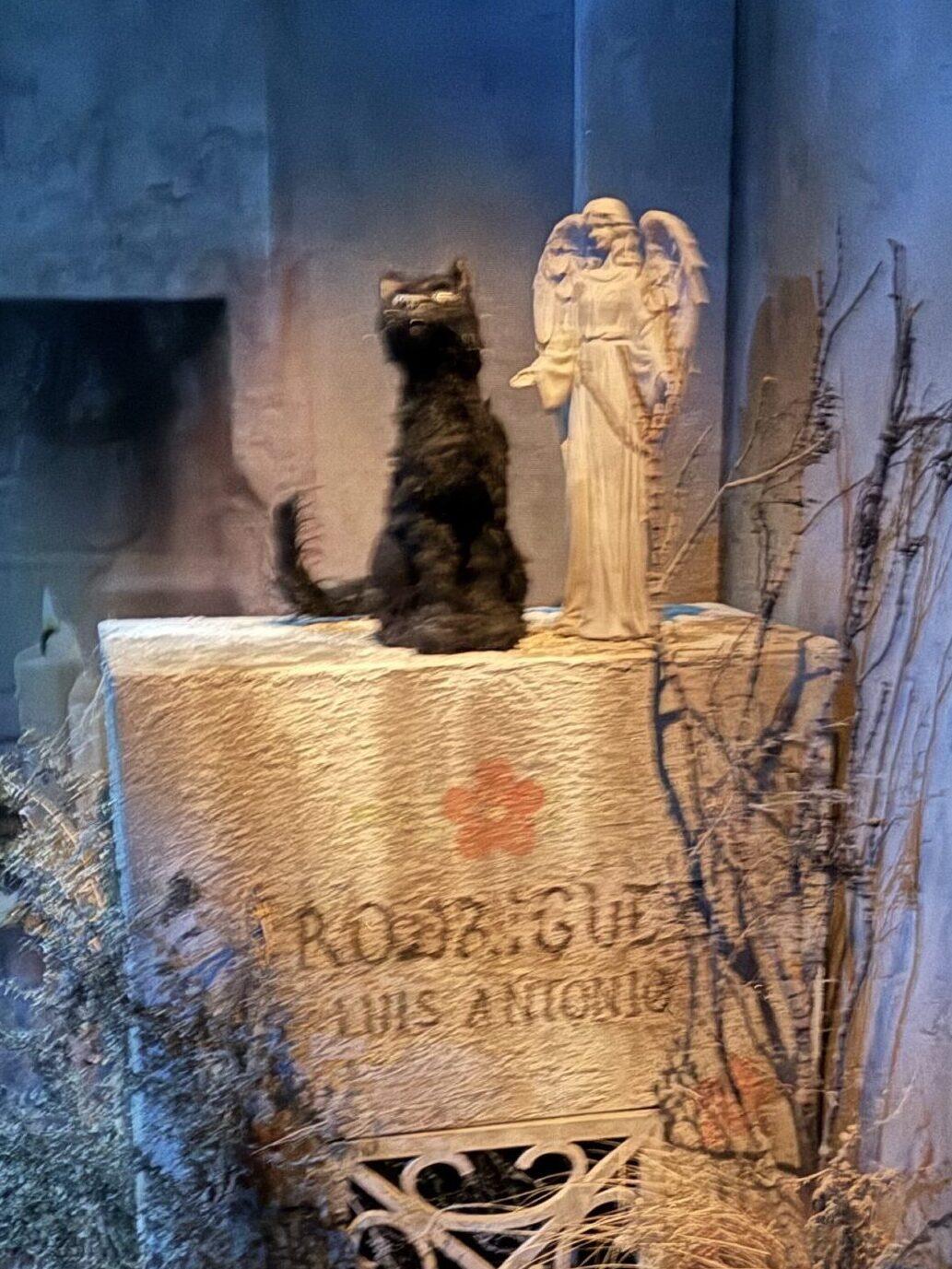 Oscura the Black Cat at Monstruos 3 House at Universal Studios Hollywood Halloween Horror Nights 2025 photo by Regina Luz Jordan for Hollywoodland News