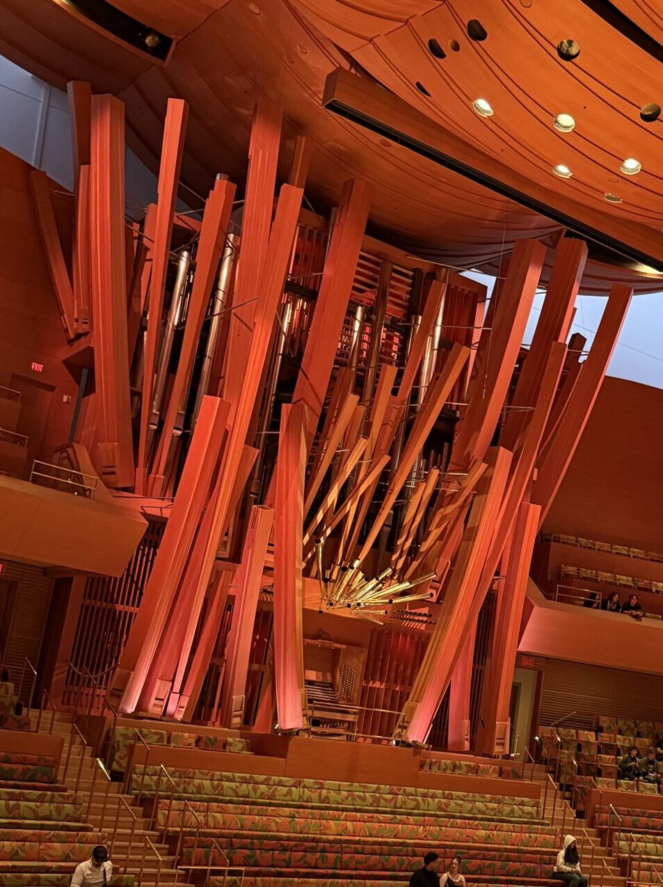 Gershwin & Strauss concert at the Walt Disney Concert Hall photo by Regina Luz Jordan with Hollywoodland News